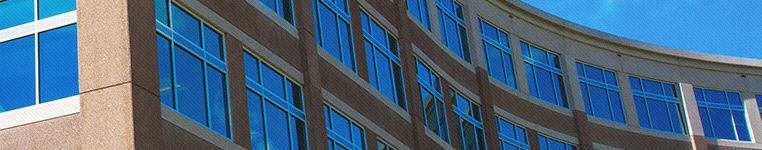 在线呼叫网页版软件